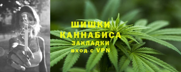 ALPHA PVP Богородицк