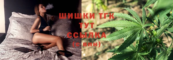 ALPHA PVP Богородицк