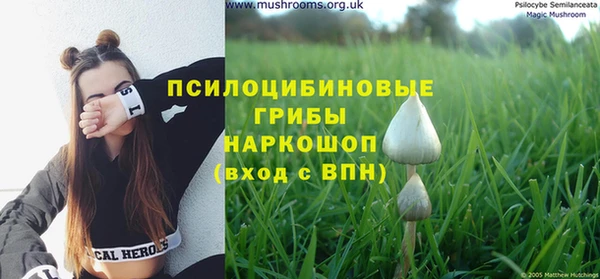 спайс Богородск